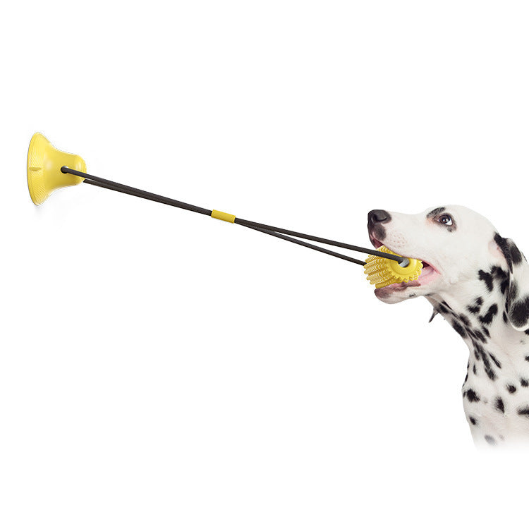Brown corn-shaped chew toy attached to suction cups held by dog