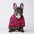 Load image into Gallery viewer, Hot pink zebra dog jacket
