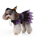 Load image into Gallery viewer, Small gray fluffy dog wearing a black witch costume with purple striped sleeves and skirt, standing and looking forward.
