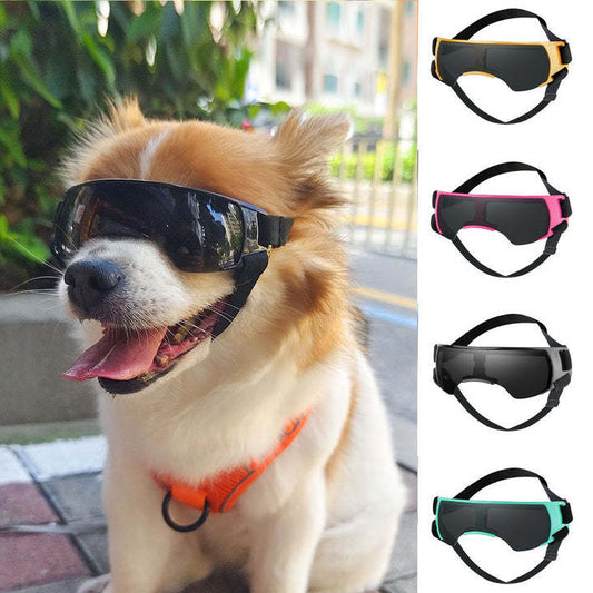 Dog wearing black UV protection goggles outside