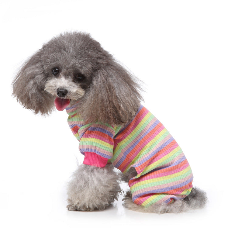 Small gray poodle wearing vibrant rainbow striped pajamas sitting and panting