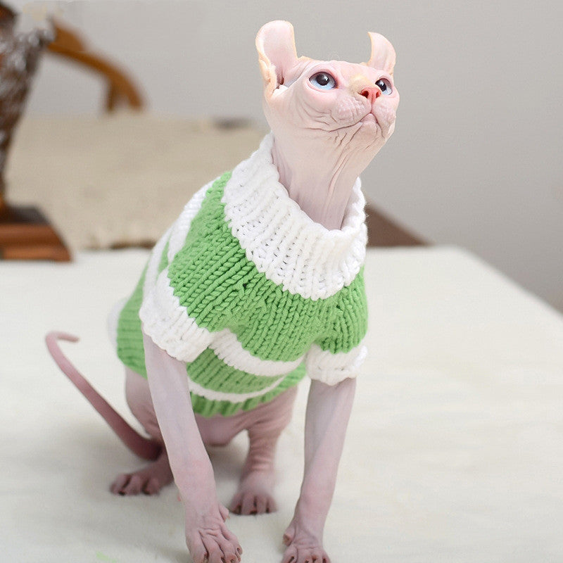 Hairless cat in green and white striped wool sweater looking upwards