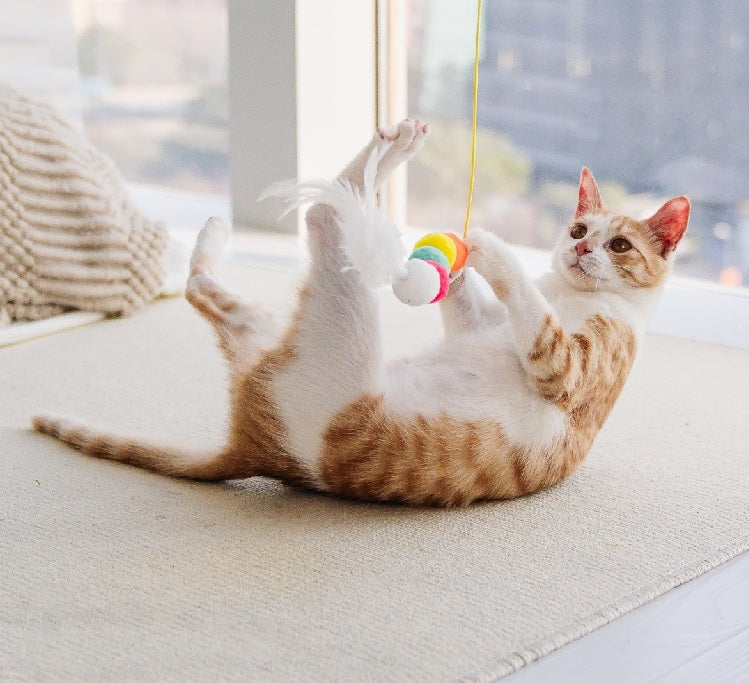 Cat lying on back grabbing colorful plush caterpillar toy with paws