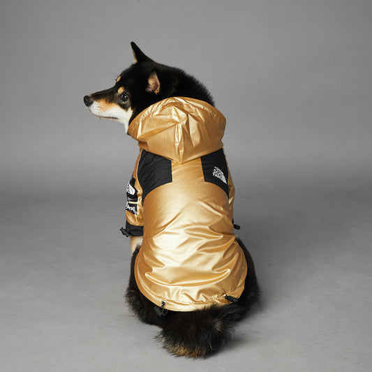 Back view of a dog wearing a gold raincoat with black accents and adjustable drawstrings