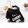 Charger l'image dans la visionneuse de la galerie, Warm Cat Puppy Clothes Pet Trendy Sweater
