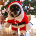 Charger l'image dans la visionneuse de la galerie, Pet Christmas Suit
