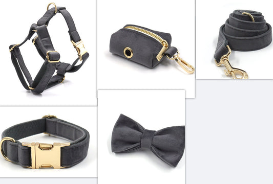 Close-up views of dark gray velvet harness, pouch, leash, collar, and bow tie with gold metal buckles