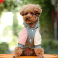 Charger l'image dans la visionneuse de la galerie, Small Dog Pet Autumn Coat Keeps Warm
