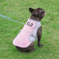 Load image into Gallery viewer, Summer Pet Outdoor Breathable Cooling Vest
