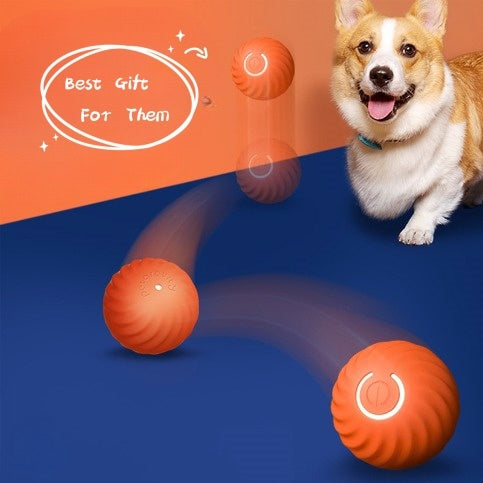 Orange LED interactive jumping ball bouncing near a happy dog