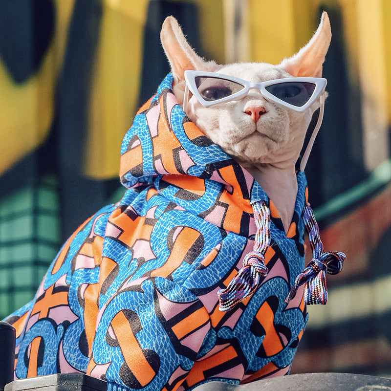Hairless cat wearing sunglasses and colorful graphic hoodie outdoors