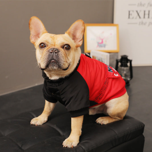 Small tan French Bulldog wearing a red and black dog winter jacket sitting on a black leather surface