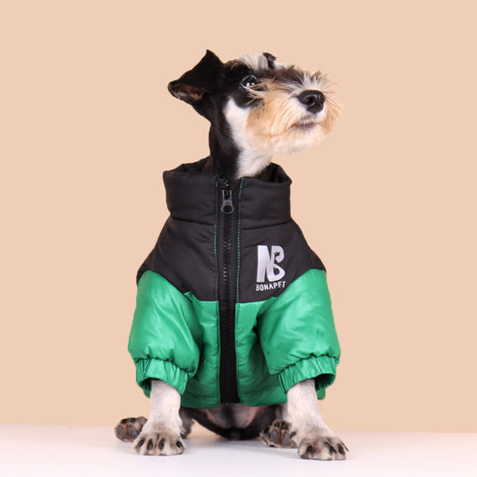 Small dog wearing black and green padded jacket sitting and looking up