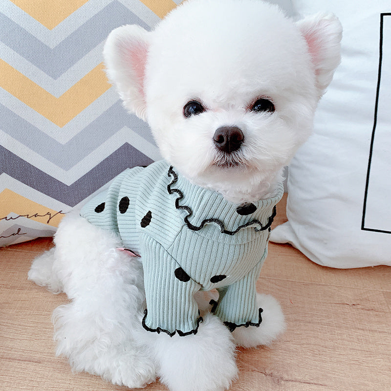Small white dog facing front wearing mint green ribbed turtleneck shirt with black polka dots and ruffled collar