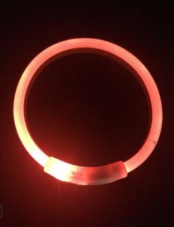 Orange glowing LED dog collar illuminated in dark