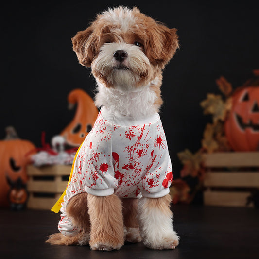 Front view of fluffy dog wearing white blood splatter costume with yellow Do Not Enter sash and Halloween decorations in background