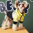 Load image into Gallery viewer, Small dog standing on yellow platform wearing yellow and black sporty jacket with elastic cuffs and front zipper, looking upward
