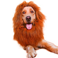 Load image into Gallery viewer, Lion Small Ears Wig Dog Hat Pet Wig Transformation

