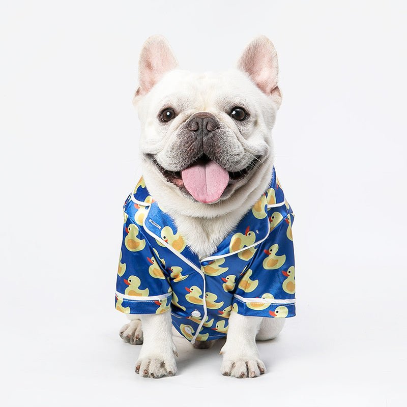 Front view of a white dog wearing the blue duck print shirt with tongue out
