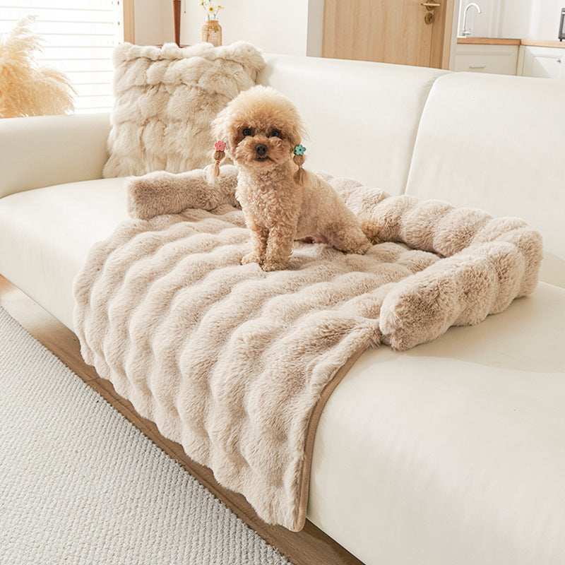 Small poodle sitting on beige plush dog mat with raised edges on white sofa