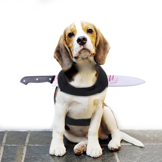 Beagle dog sitting wearing black harness with fake bloody knife prop attached behind neck