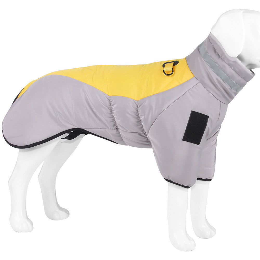 Mannequin dog model dressed in gray and yellow warm dog coat with leash ring