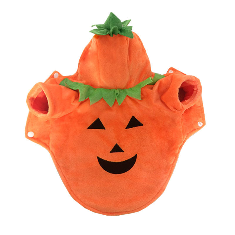 Flat lay top view of orange dog pumpkin costume with hood and green leaf applique
