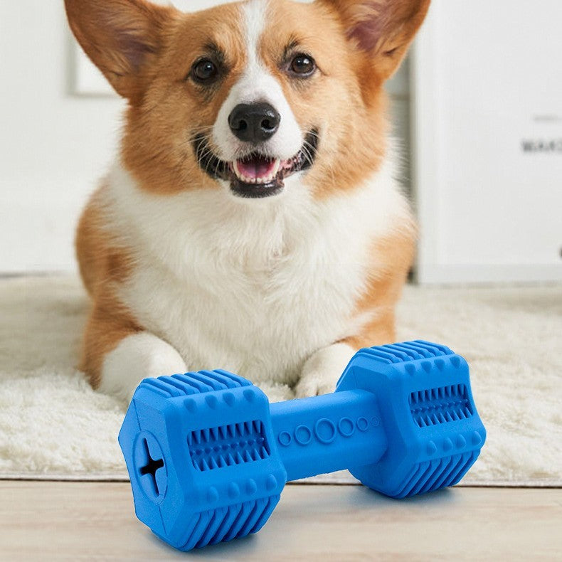 Smiling dog lying near a blue rubber dog chew toy shaped like a dumbbell on a floor