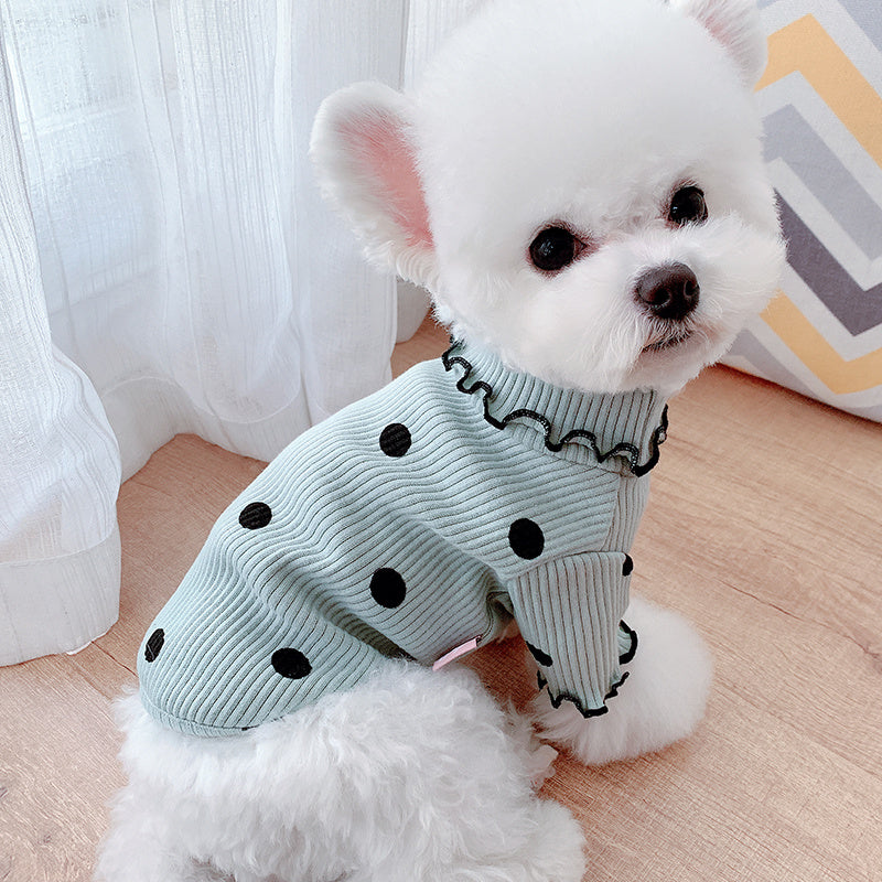 Small white dog wearing mint green ribbed turtleneck shirt with black polka dots and ruffled collar sitting on wooden floor
