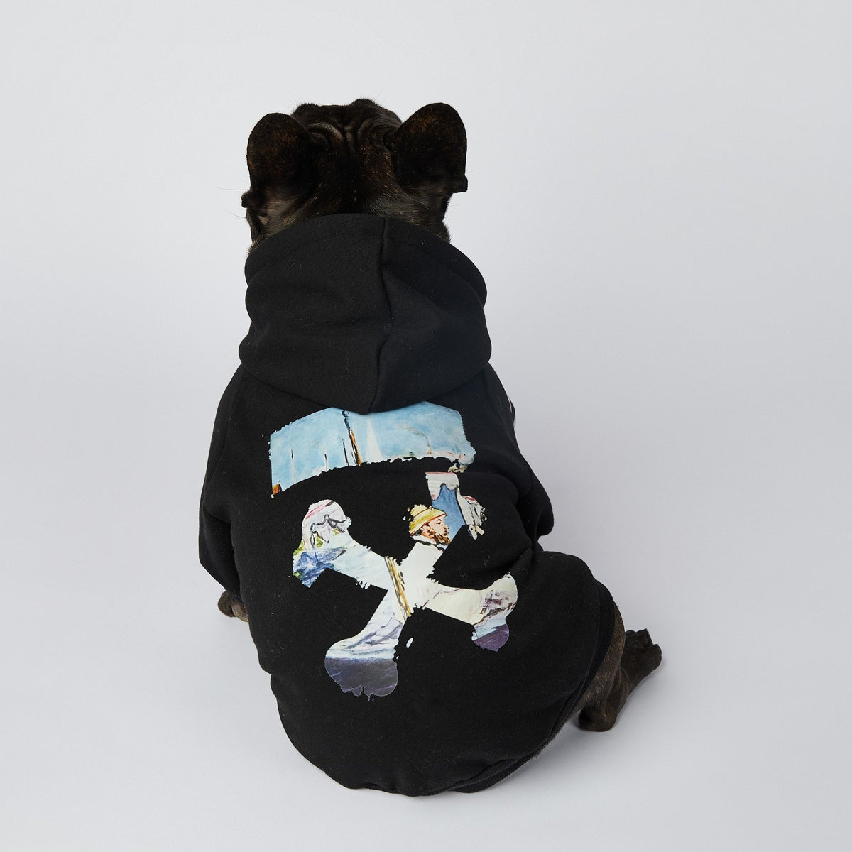 Back view of French bulldog sitting, wearing black pet hoodie with unique colorful painterly graphic design