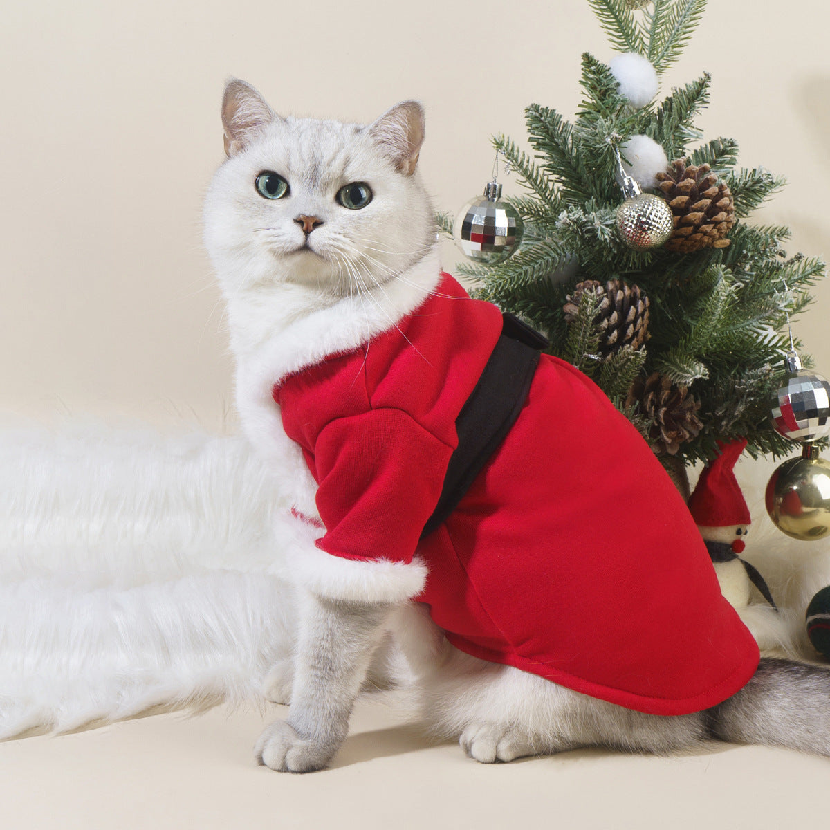 Santa Pet Outfit