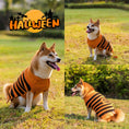 Load image into Gallery viewer, Dog wearing orange and black striped Halloween pumpkin sweater outdoors
