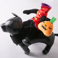 Load image into Gallery viewer, Black faux leather dog model wearing headless man costume sitting on its back with pumpkin plush
