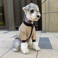 Charger l'image dans la visionneuse de la galerie, Side view of small dog wearing khaki winter jacket with zipper while sitting on pavement
