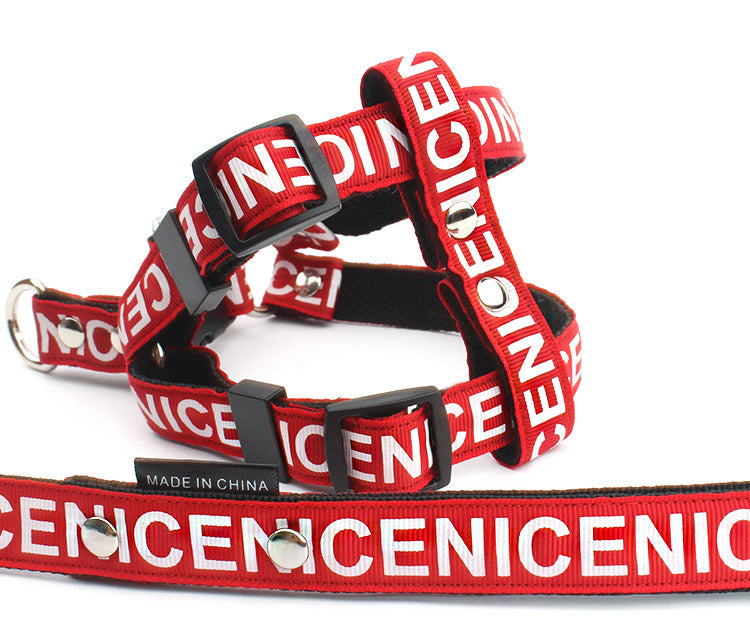 Close-up of red nylon adjustable dog harness with metallic rivets and plastic buckle