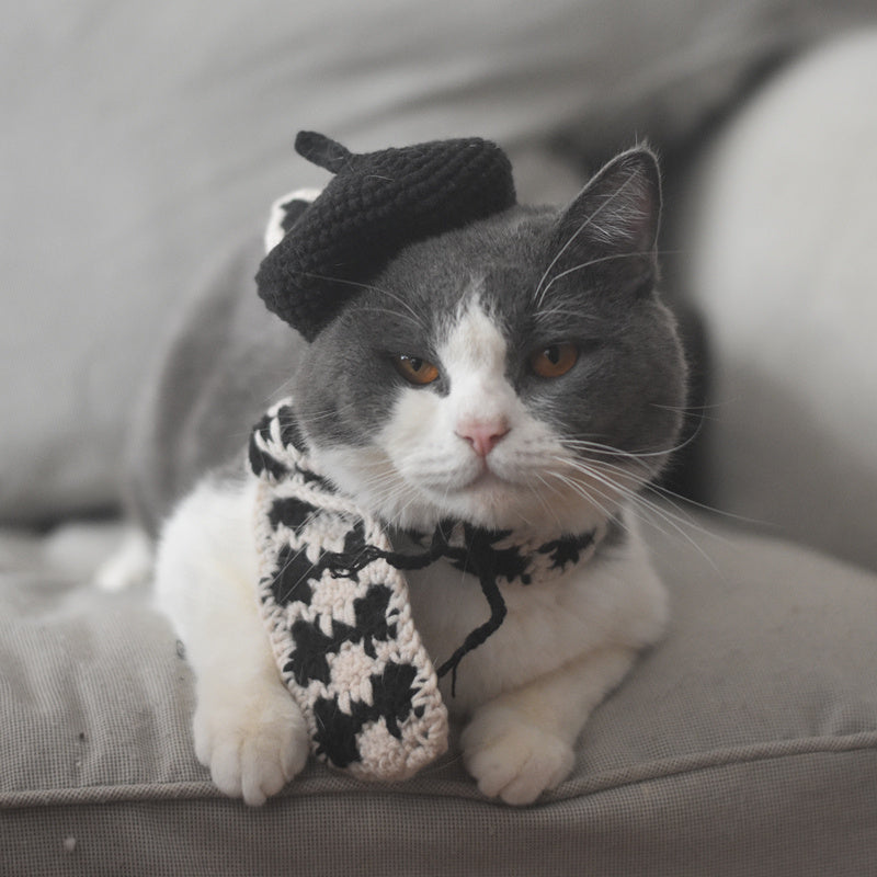 Side view of gray and white cat wearing a black knitted beret and black-beige plaid scarf