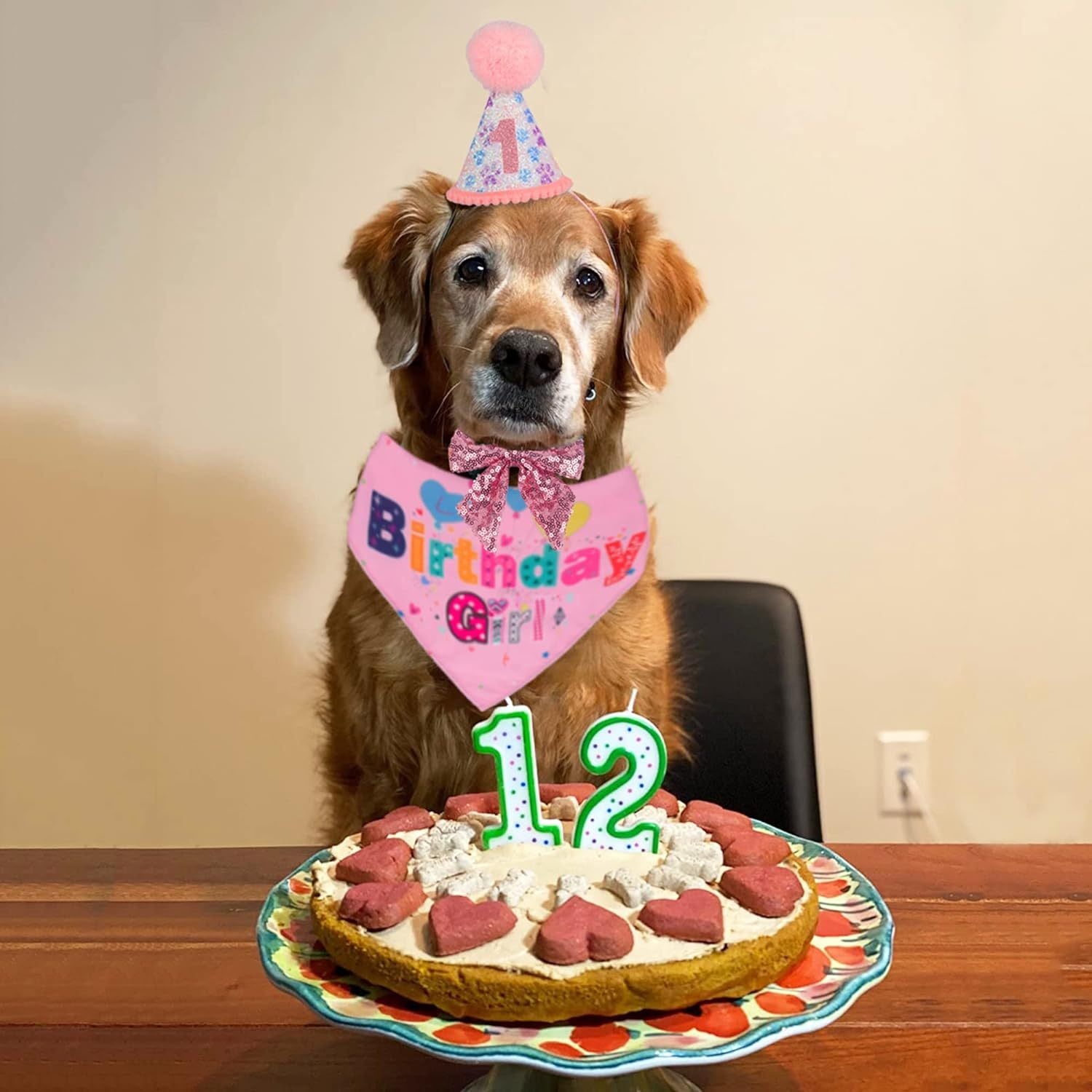 Dog Birthday Party Supplies