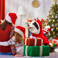 Charger l'image dans la visionneuse de la galerie, Vêtements de Noël pour chien Père Noël chevauchant un cerf
