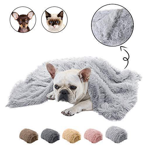 Light gray plush pet blanket with a dog laying underneath and small images of cat and dog