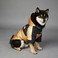 Charger l'image dans la visionneuse de la galerie, Front angle of a dog in a gold and black hooded raincoat jacket sitting on gray surface
