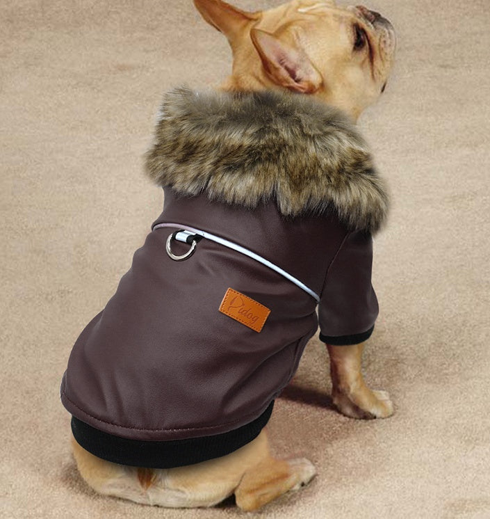 Brown PU leather dog jacket with faux fur collar worn by small beige French Bulldog sitting on beige carpet