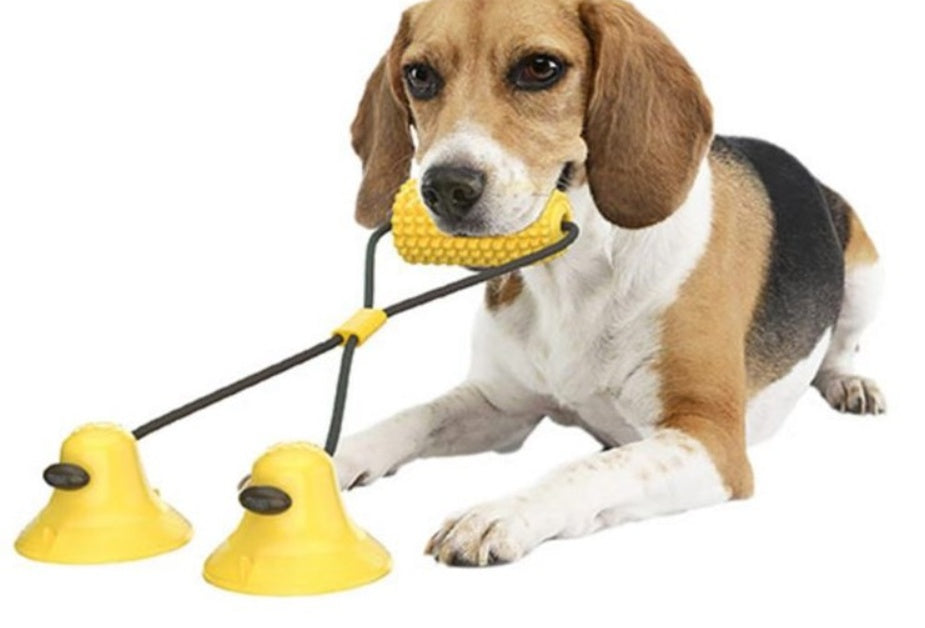 Brown corn-shaped chew toy with rope and dog holding the toy