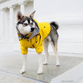 Load image into Gallery viewer, Dog Raincoat Pet Clothes Dog Clothes Rain Water
