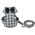 Load image into Gallery viewer, Dog leash
