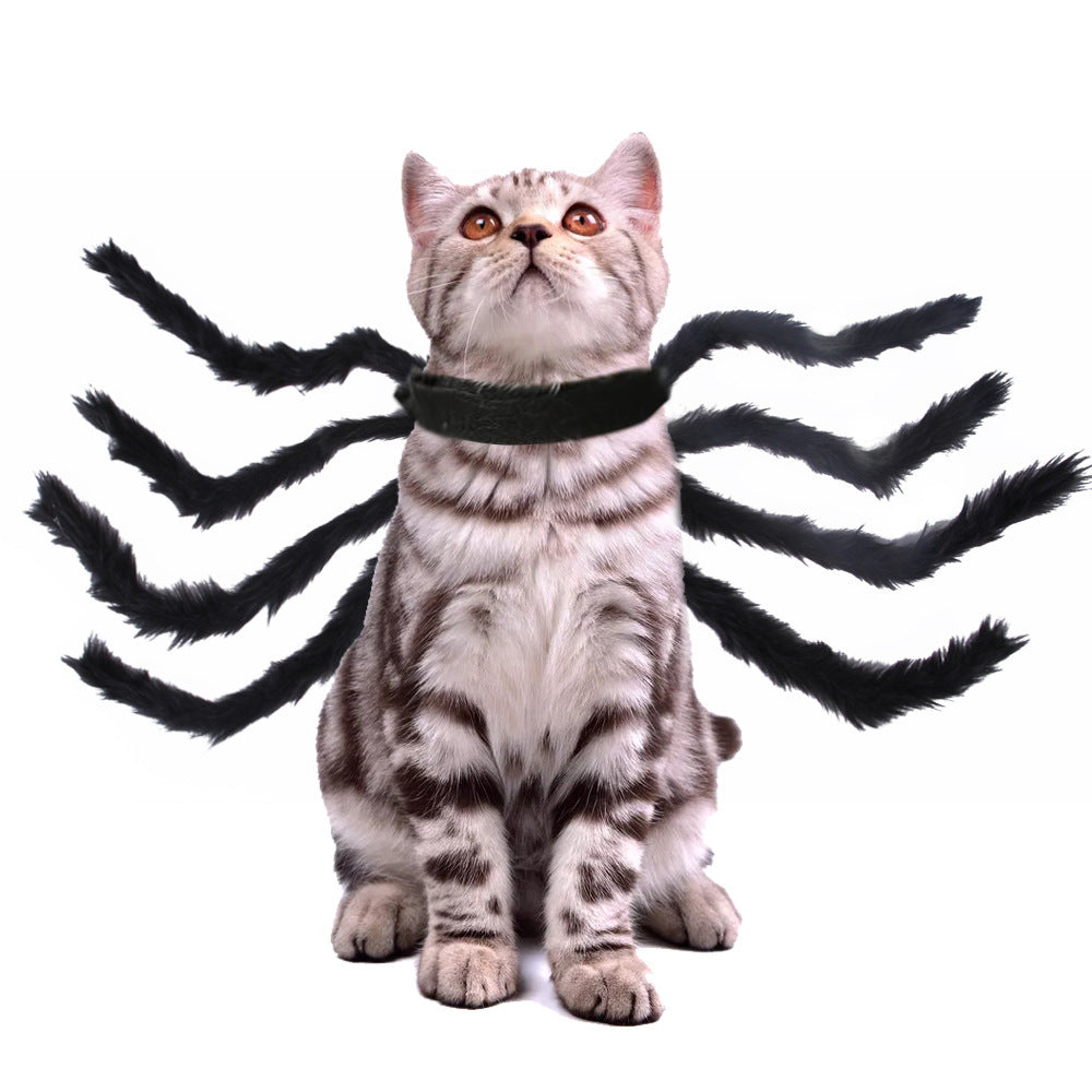Front view of cat showing full spider costume with red and black fur legs