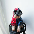 Load image into Gallery viewer, Small dog with sunglasses wearing a blue and red camo hoodie and hood
