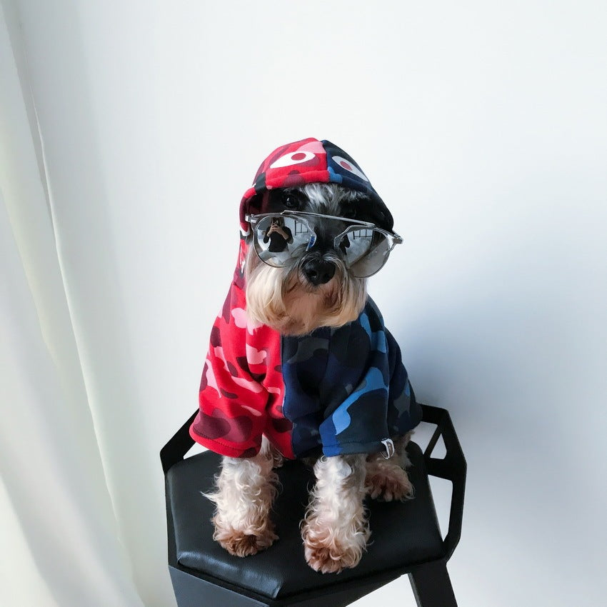 Small dog with sunglasses wearing a blue and red camo hoodie and hood