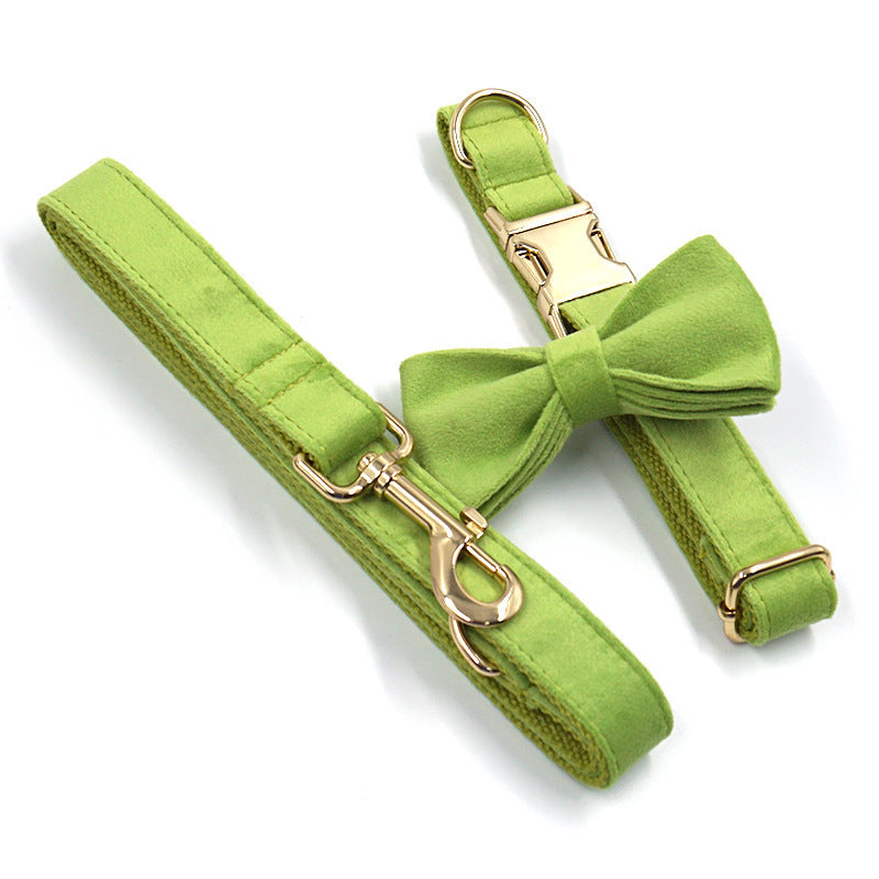 Complete matcha green velvet dog collar and leash set including bow tie and gold hardware