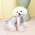 Charger l'image dans la visionneuse de la galerie, Small white fluffy dog facing front wearing silver waterproof padded dog jacket smiling indoors
