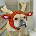 Load image into Gallery viewer, Windproof Halloween Knitted Dog Hat
